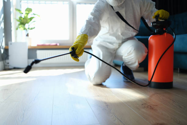 Reliable Odor Removal contractor in Bristol, VA by Trauma Clean Pros